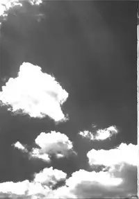 (C74) [Titokara 2nd Branch (Manami Tatsuya)] s.n.e.g? (Strike Witches)