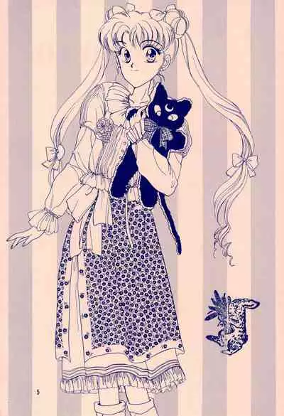 Codename wa Sailor XX R