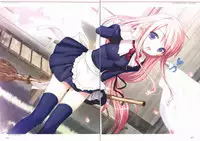 Sakura Sakura Visual Fan Book