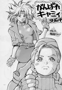 (C51) [D.G.S (Sengoku-kun)] Sengoku 2 (King of Fighters, Street Fighter)