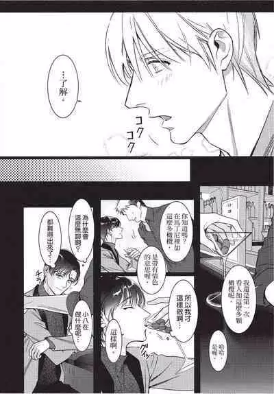 Chihireru Kubiwa | 碎裂的项圈