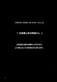 ANMITSU TOUHOU THE AFTER Vol.2
