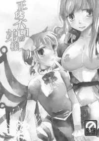 (C77) [pinktips.info (kazuha)] Shoutai Fumei no Otouto-sama (Touhou Project)