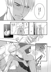 [FUJIKAWA Ruri] Saikou no Shousetsuka