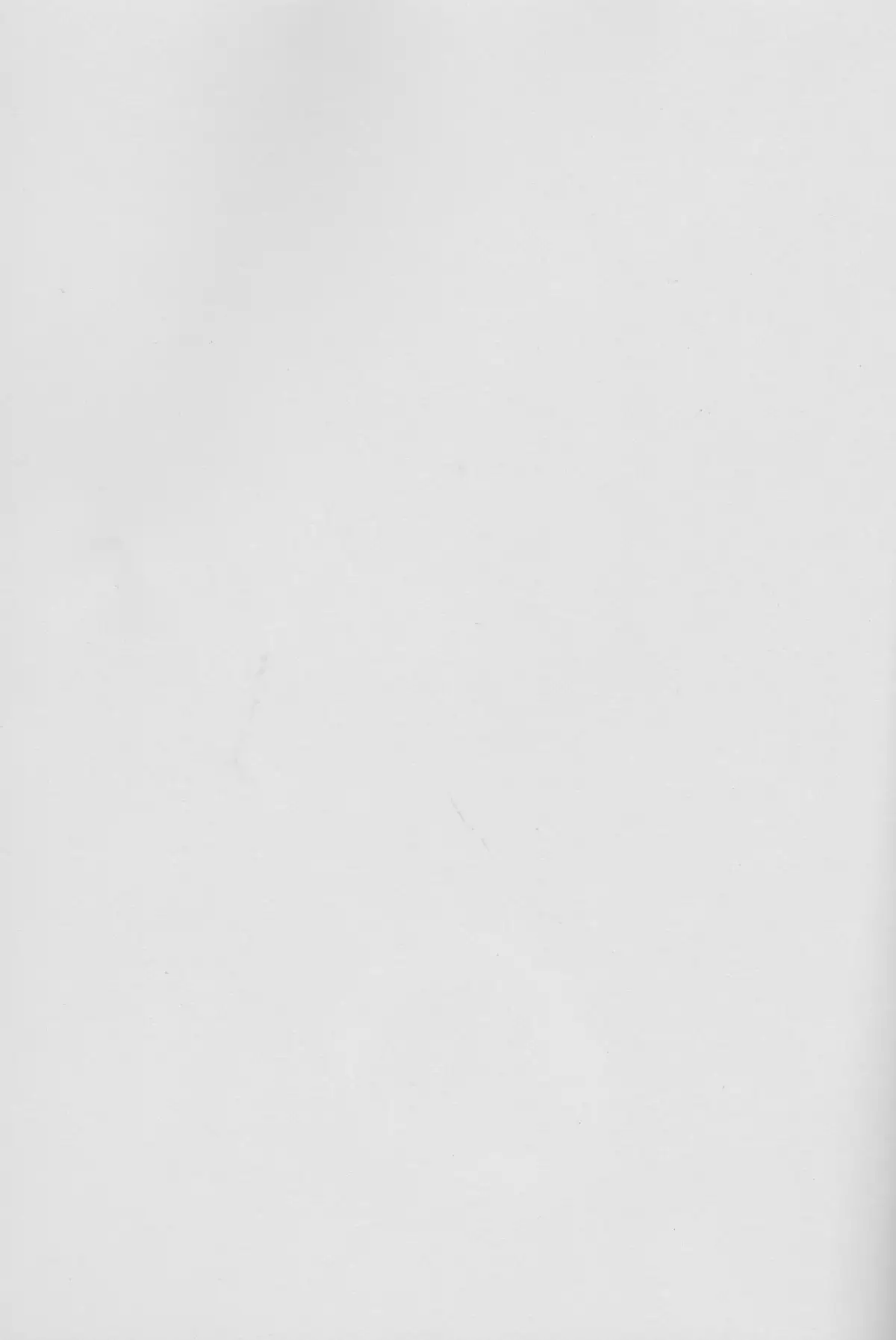 タイトル：宵闇に濡れる花