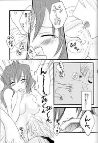 (C75) [4+h (Tanba Rin)] Secret Lover (Final Fantasy IV)