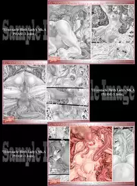 [Kouka Ryouhei (Yanagi Kyouhei)] El-tentacle Birth Lady’s Mk.B PHASE-2