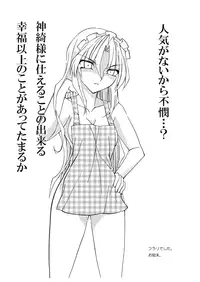 (C77) [Buruman (Tajima Yuki)] S&M Revenge + omake hon (Touhou Project)