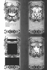 (Touhou Tougenkyou) [Gensou Shoufukan Seisaku Iinkai (Various)] Gensou Shoufukan 3 (Touhou Project)