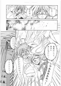 (C78) [Gin no Hoshitei (Tamiya Akito)] Sacred Order Seraphim Force