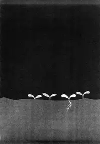 [Machida Hiraku] Tanpopo no Matsuri