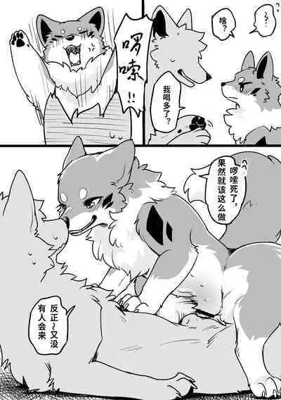 Ohanami Anaba Spot | 秘密景点