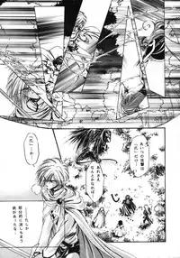 [Bun (Mizumori Ryouko, Shimotsuki Rei)] Reveal (Slayers)