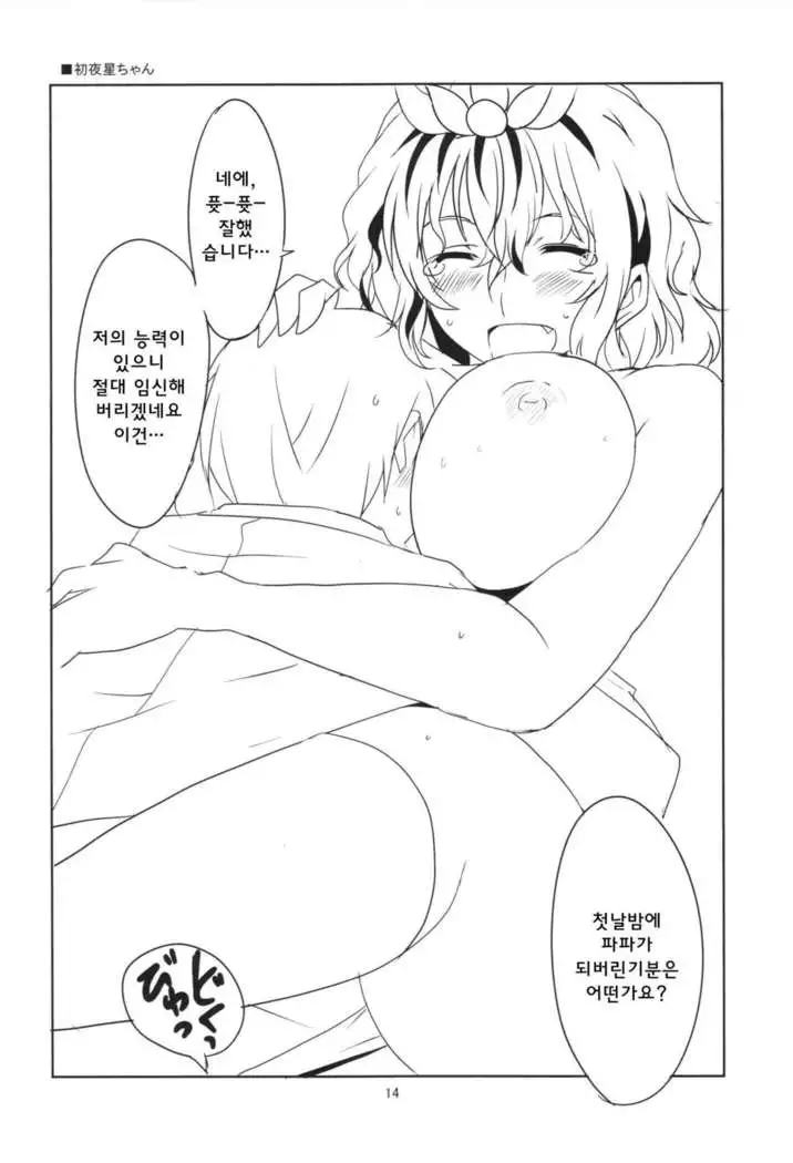 Touhou Shinkon Shoya | 동반 신혼 초야