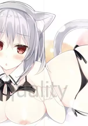 Ginpatsu -raco route-