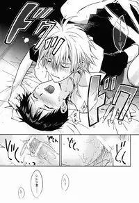 (C80) [Cassino (Magarikoji Lily)] LOCK'N' UP! (Neon Genesis Evangelion)