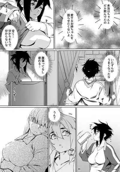 大人のおもちや24まとめ4