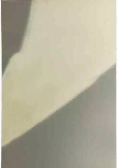 Kami no Nagai Ko ga Omorashi Suru Hon 1.25