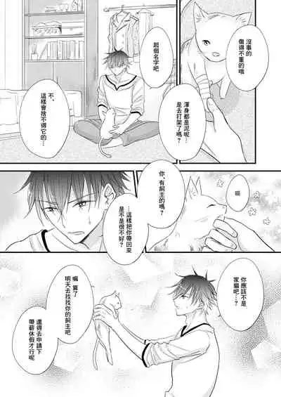 Hatsujou