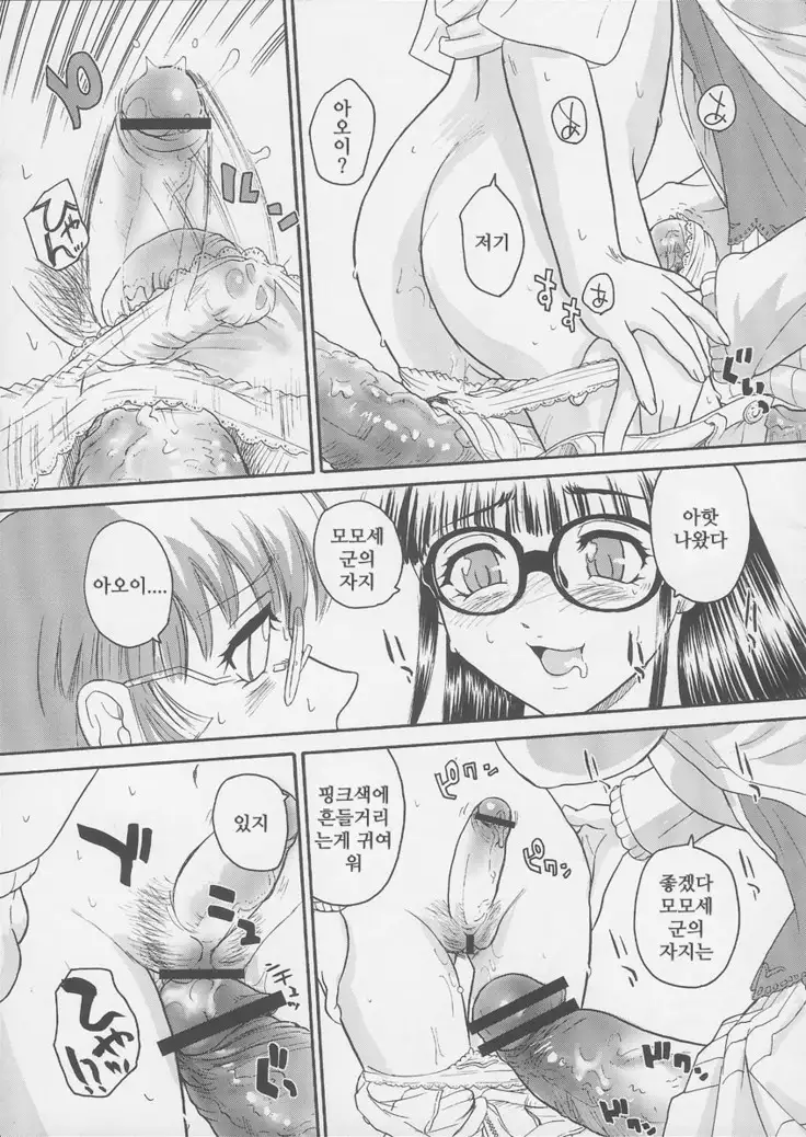 ダルシーレポート 6