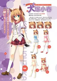 Zettai Series Visual Collection