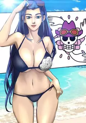 Commissions and sketches