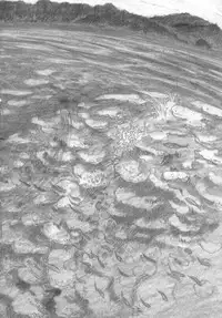 [all over the Place] Moya●mon TALES OF DOPPELGANGER (Moyashimon)