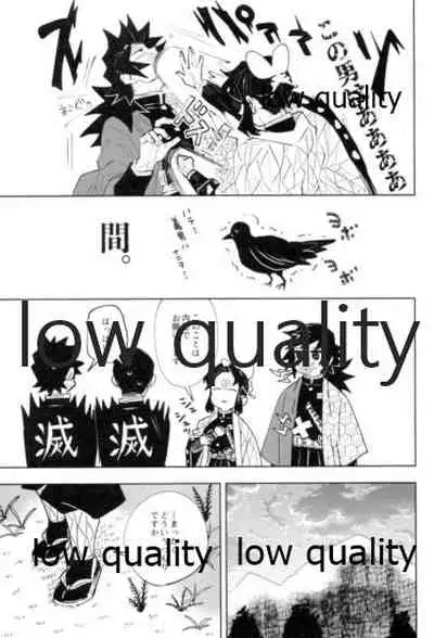 フクシアの花びら