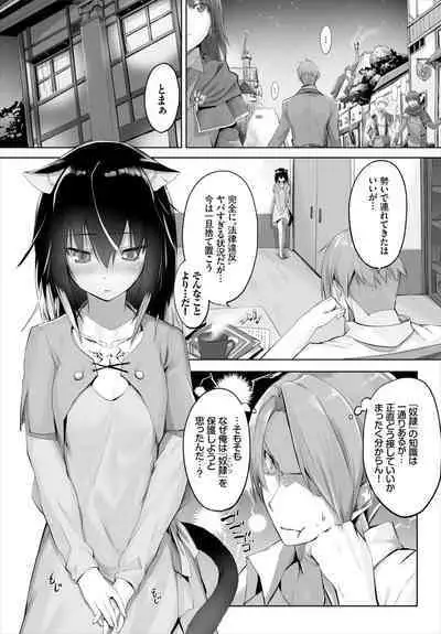 [Kyougoku Touya] Orokamono wa Nekomimi Dorei ni Izon suru ~Hajimete no Choukyou Seikatsu~ 01-23