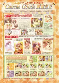 Canvas Visual Fan Book