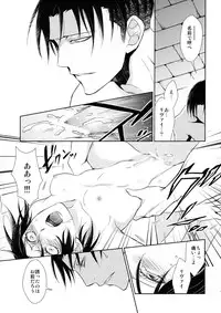 (C90) [RIX (Mamiya)] Ten ni Habataita Sono Ato mo (Shingeki no Kyojin)