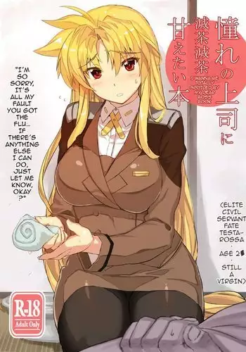 Akogare no Joushi ni Mechamecha Amaetai Hon | I Wanna be Totally Spoiled by My Dear Boss Book