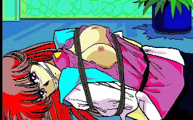 Aniparo Menyou CG Data Shuu Disk Noah v2v3