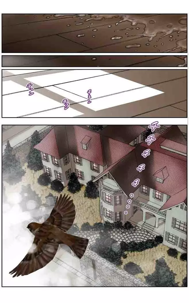 TOMOHAHA CHOUKYOU "Boku no Kaasan wa Shiken Kikanchuu no 3-Kakan, Aitsu no Omocha ni naru"