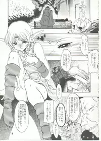 (CR35) [FAKESTAR (Miharu)] D (Record of Lodoss War)