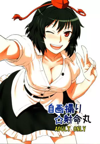 (C80) [110-GROOVE (Itou Yuuji)] Self-Portrait ☆ Shameimaru (Touhou Project) [English] {pesu}