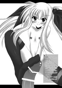 (C80) [chronicle (YUKITO)] FATE COLLECTION II (Mahou Shoujo Lyrical Nanoha)