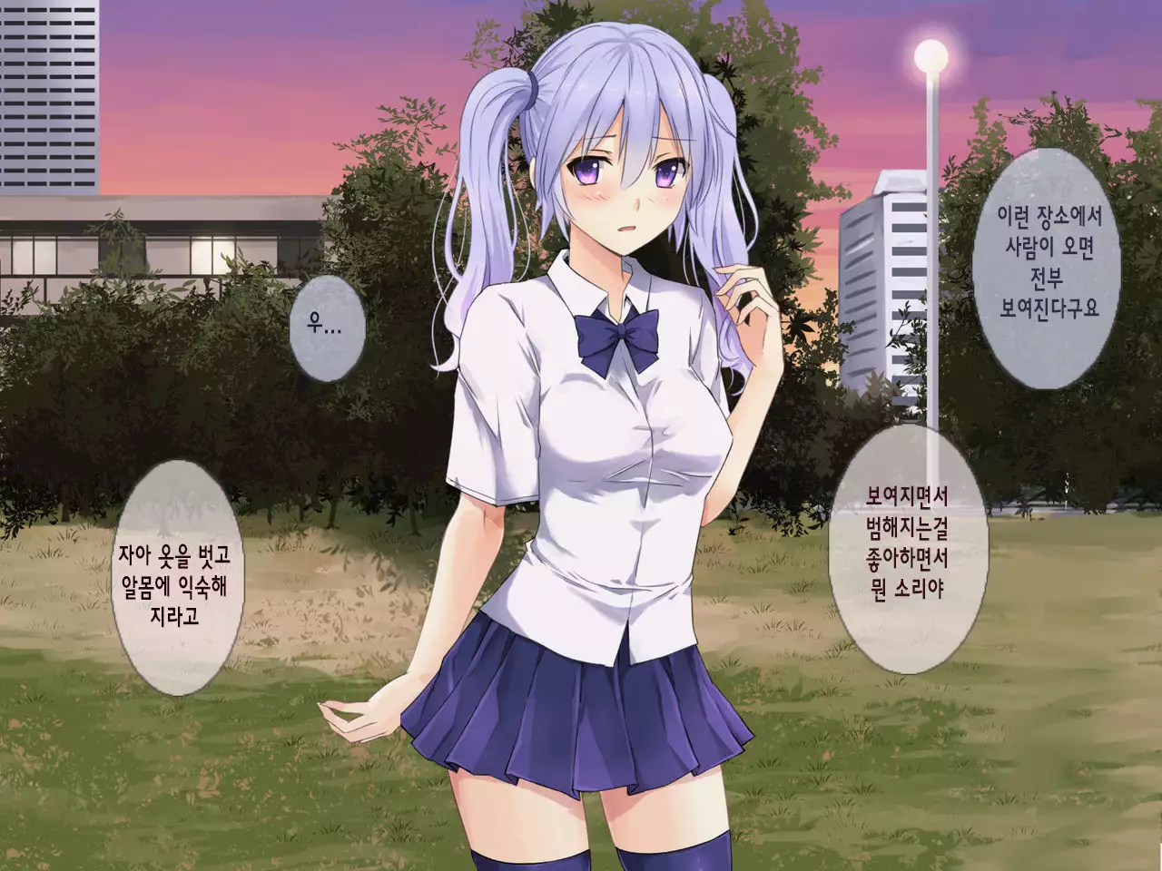 Mizuki No Innyou Nikubenki | 미즈오의 변태 육변기