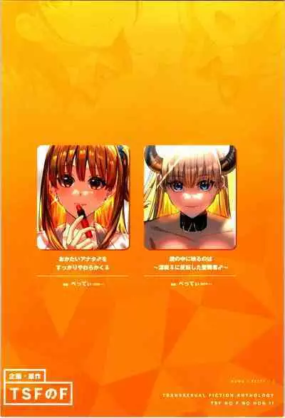 TSF no F no Hon Sono 11