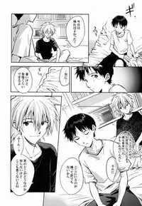 (C80) [Cassino (Magarikoji Lily)] LOCK'N' UP! (Neon Genesis Evangelion)