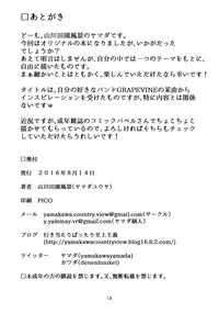 (C90) [Yamakawa Denenhuukei (Yamada)] Kou Yubisaki [Chinese] [一匙咖啡豆汉化组]