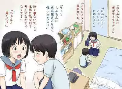 Sei ni Kyoumi o Mochihajimeta Ane to Otouto no Hatsutaiken