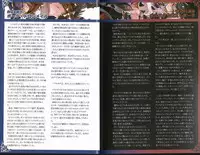 (C93) [クロビネガ (健康クロス)] 魔物娘図鑑ワールドガイド外伝2 サルバリシオン～レスカティエの魔界騎士たち～