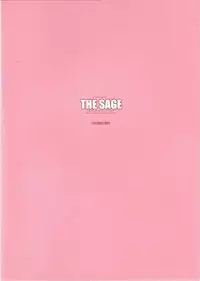 (CR37) [R-WORKS (ROS)] THE SAGE (Fate/stay night)