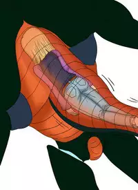 セルの丸呑み吸収