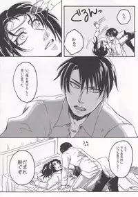 (FALL OF WALL4) [BSWC (Hamster)] Affetto (Shingeki no Kyojin)