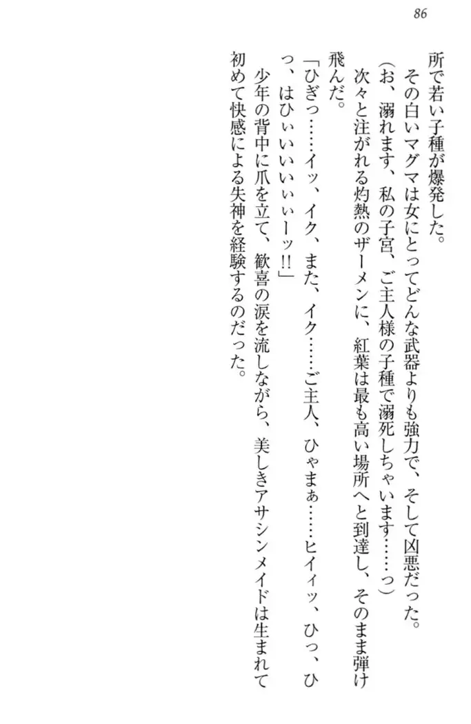 暗殺メイドはメロメロです