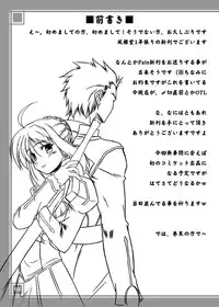 (C71) [Fuugadou (ShibuYeah Takashi)] Fate-Promise- (Fate/stay night)