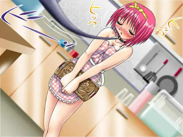 GRA-PRO Retro DoujinCG Set