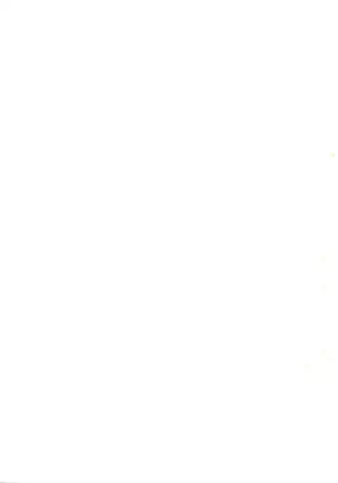 SECRET FILE 003 -Get Ready Go-